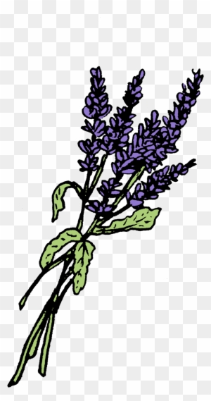 Lavender Graphics Leaf Twig Plant Stem - Plant Stem