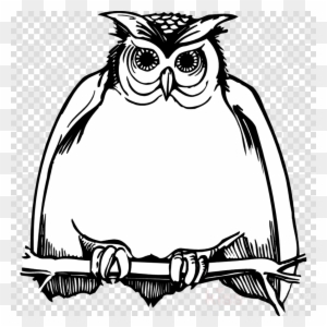 Download Owl Black And White Png Clipart Great Horned - Harry Potter Birthdays Owl