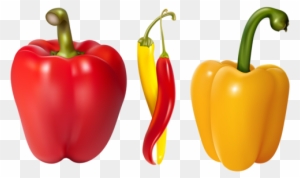 Bell Pepper, Fruits And Vegetables, Clip Art, Embellishments, - Pepper Vector
