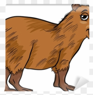 Chibi Capybara by Daieny on DeviantArt  Cute doodle art, Cartoon drawings  of animals, Capybara