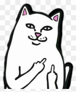 Free Free 83 Cat Giving Middle Finger Svg SVG PNG EPS DXF File