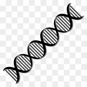 Black Dna Clipart - Dna Helix Png - Free Transparent PNG Clipart Images Download Black Dna Clipart - Dna Helix Png - Free Transparent PNG Clipart Images Download