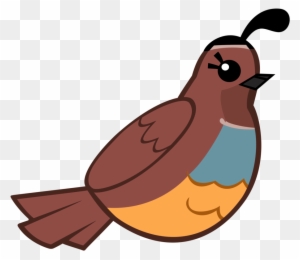 flying quail clipart