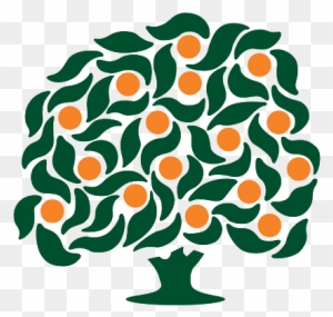 Orange Tree Golf Club - Orange Tree Golf Club