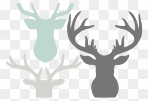 Free Deer Head Silhouette Clip Art Transparent Png Clipart Images Free Download Clipartmax