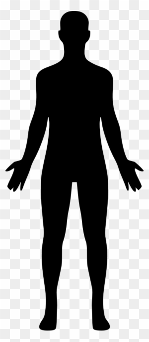 Download Body Silhouette Clip Art Transparent Png Clipart Images Free Download Clipartmax