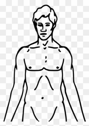 Filepioneer Plaque Man Upper Body As Diagram Template - Chemical Basis Of Love