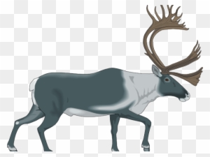 Moose Clipart Cup - Caribou Logos
