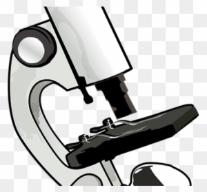 Image Free Library Free On Dumielauxepices Net Science - Compound Light Microscope Cartoon