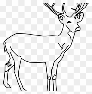 White Tailed Deer Clip Art Whitetail Deer Clip Art - Deer Drawing Black And White