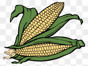 Stalk Image Free Corn Huge Freebie - Maize Corn Clipart