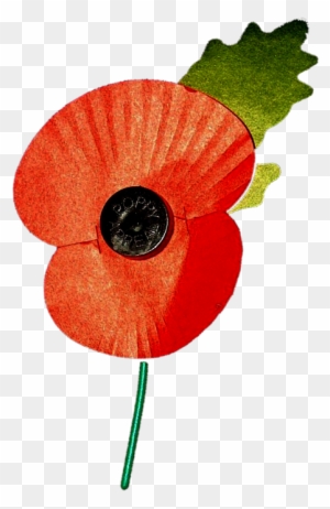 Remembrance Day Parade &amp; Service - Royal British Legion Poppy - Free ...