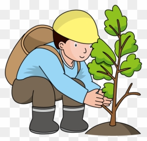 林業 イラスト Clipart Tree Afforestation Forestry 植林 イラスト フリー Free Transparent Png Clipart Images Download