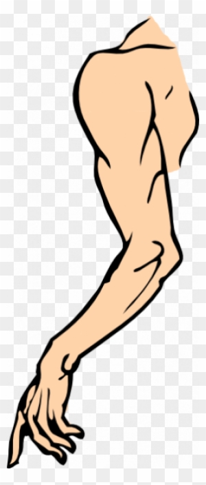 Cartoon Arms Legs Vector Png - Arm Clip Art - Free Transparent PNG Clipart Images Download Cartoon Arms Legs Vector Png - Arm Clip Art - Free Transparent PNG Clipart Images Download