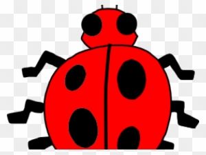 Free Ladybug - Red Bug Insect - Free Transparent PNG Clipart Images ...