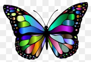 Report Abuse Colorful Butterfly Wallpaper Hd Free Transparent Png Clipart Images Download