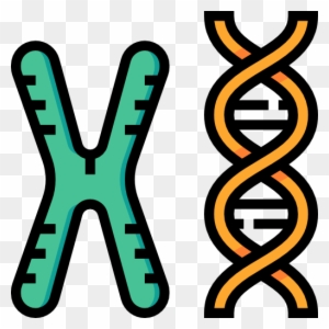 Biochemistry Clipart Biochemistry Clip Art Chromosomes Icon Free Transparent Png Clipart Images Download