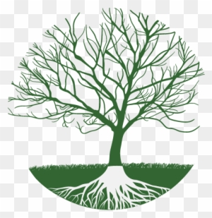 Family Tree Clipart - Realistic Tree Without Leaves