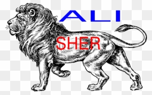 Ali Sher Clip Art - Lion Full Body Drawing
