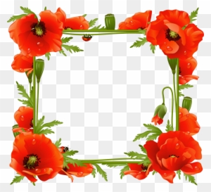 Bordes Para Fotos - Flower Photo Frame Download