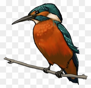 Kingfisher Clipart - Kingfisher Bird Hd Png