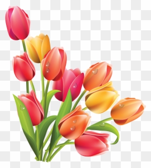 Spring Tulip Vector - Easter Flowers Clipart