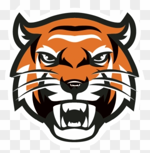 Tiger Head Transparent - Yamhill Carlton High School Mascot - Free ...