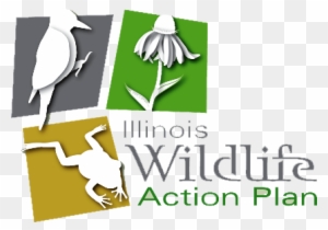 Illinois Wildlife Action Plan 2015-public Comment - Illinois State Wildlife Action Plan