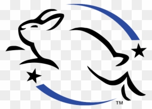 No Parabens, Sulfates, Or Phthalates - Leaping Bunny Logo Transparent
