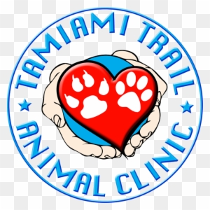 Last Generation Medical Equipment - Tamiami Animal Hospital