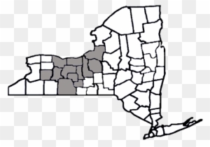 Strong Center For Developmental - Map Of New York