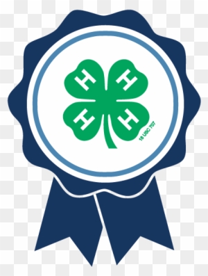 2019 Maine 4-h State Public Speaking Tournament - 4 H Clover