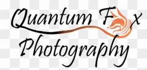 Quantum Fox Photography - Photography Dm Logo Design