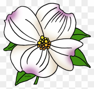 North Carolina State Flower - Dogwood Flower Coloring Page