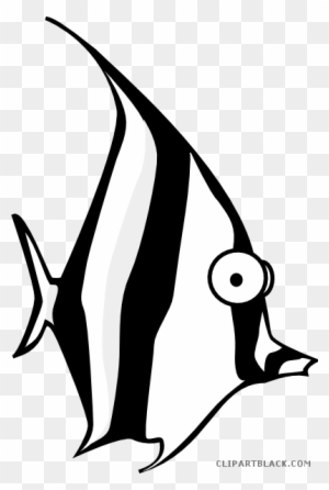 Angel Fish Animal Free Black White Clipart Images Clipartblack - Angel Fish Cartoon