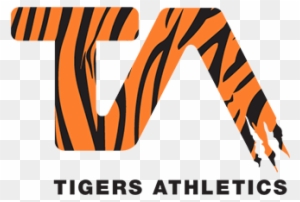Niagara Tigers Cheerleading - Houston Community College System