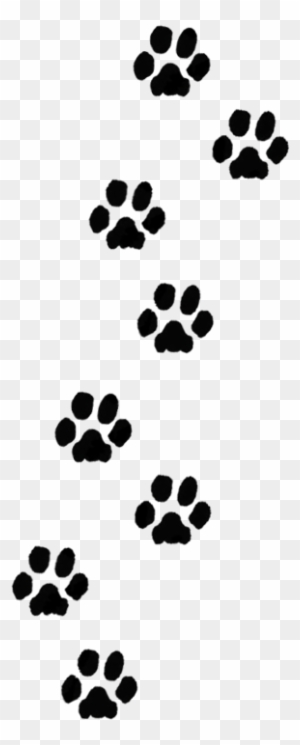 Paw Print Trail Clipart - Transparent Dog Paw Print