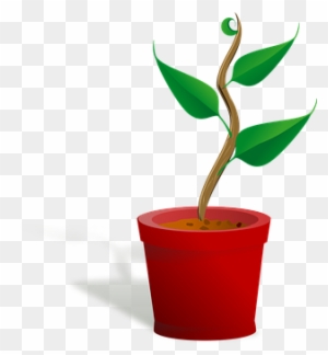 Flowerpot Growing Leaf Plant Plant Plant P - Growing Plant Clip Art