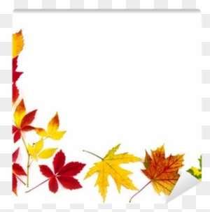 Bunter Rahmen Aus Herbstblättern Wall Mural • Pixers® - Autumn Leaves Frame