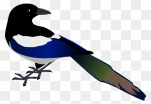 Elster, Vogel, Tierwelt, Vogelgrippe - Custom Colorful Bird Shower Curtain