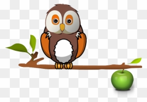 Apple Zweig Eule Baum Eule Eule Eule Eule - Owl On Branch Clipart
