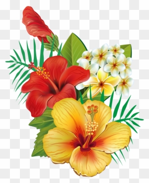 Erkunde Dissen, Exotische Blumen Und Noch Mehr - Cafepress Tropical Hibiscus Tile Coaster