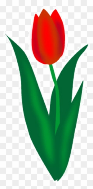 Tulip Clip Art - Spring Flowers Clip Art