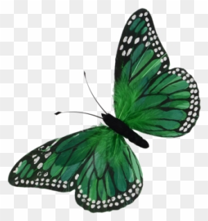 Schmetterling Aus Federn Grun 76 X 40 Cm Schmetterling Grun Free Transparent Png Clipart Images Download