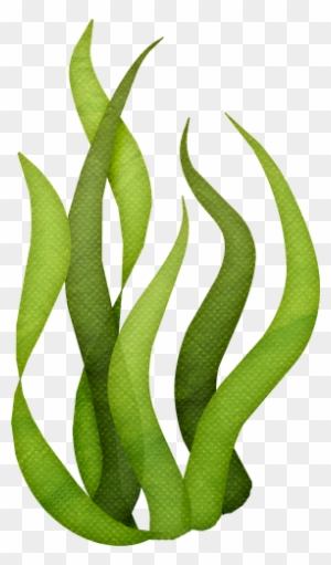 Tall Grass Silhouette Clip Art - Algas De Bob Esponja