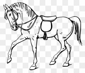 Horse Clipart Black And White - Outline Of A Horse