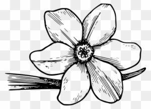 Flower Bloom Dogwood Petals Corolla Pollen - Violet Flower Coloring Page