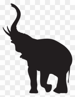Download Elephant Trunk Clipart Transparent Png Clipart Images Free Download Clipartmax