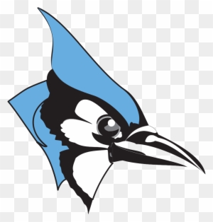 blue jay clipart