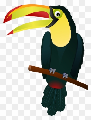 jungle parrot clipart